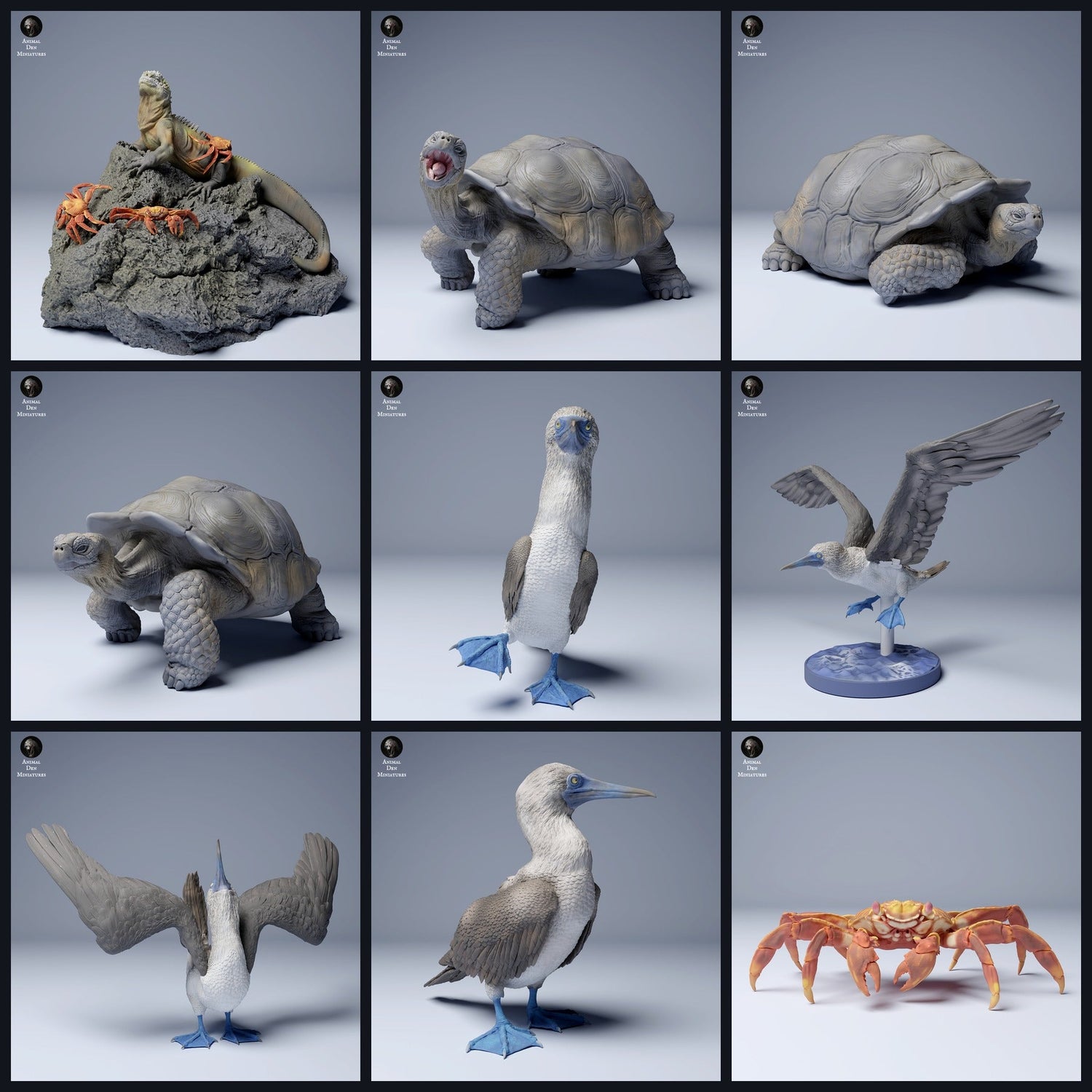 To zdjęcie jest obrazem kategorii dla wydania 24_08: Galápagos-miniatur zwierząt i figur zwierząt do dioram i modelarstwa