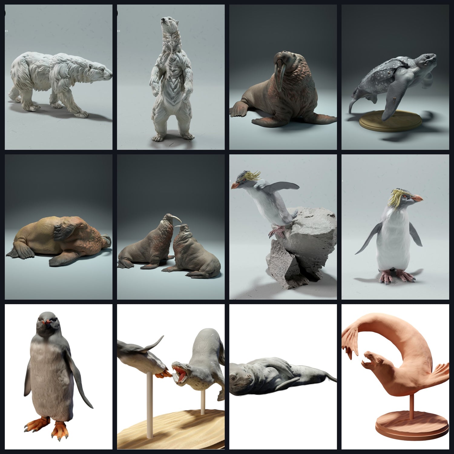 Questa immagine è l'immagine della categoria per Habitat: Costa e Mare Poco Profondo (Barriere Coralline/Estuari)