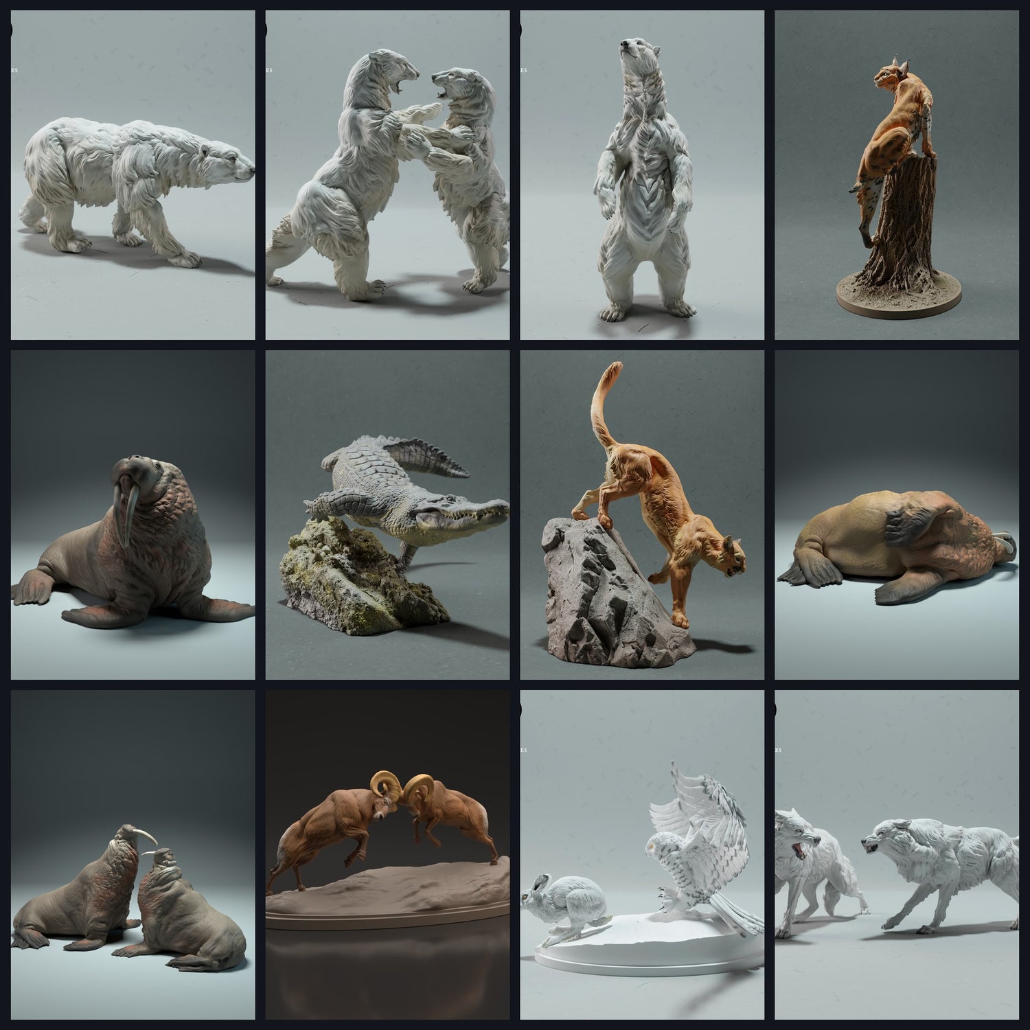 Questa immagine è l'immagine della categoria per la regione: Nord America