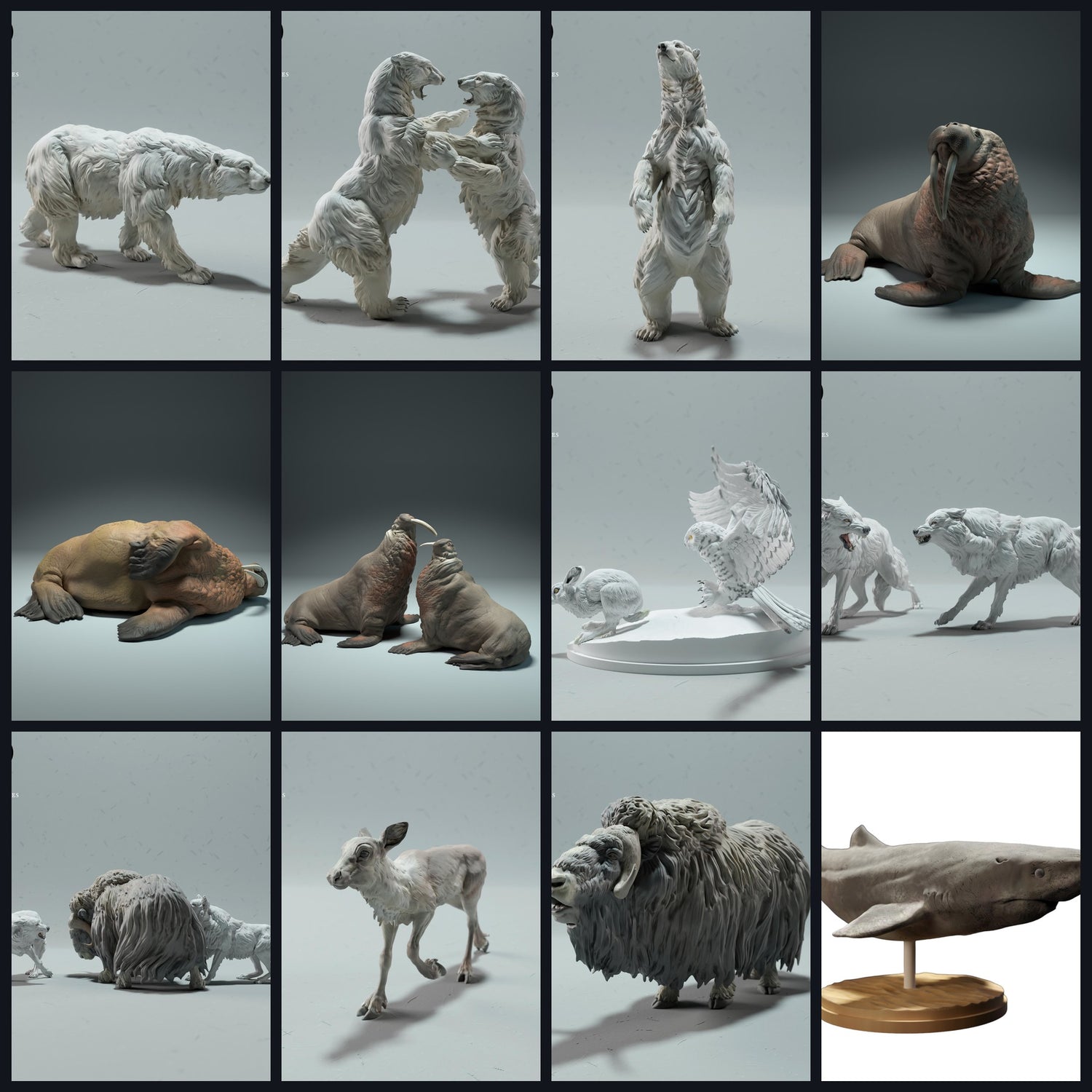 Esta imagem é a imagem da categoria para a região: Ártico