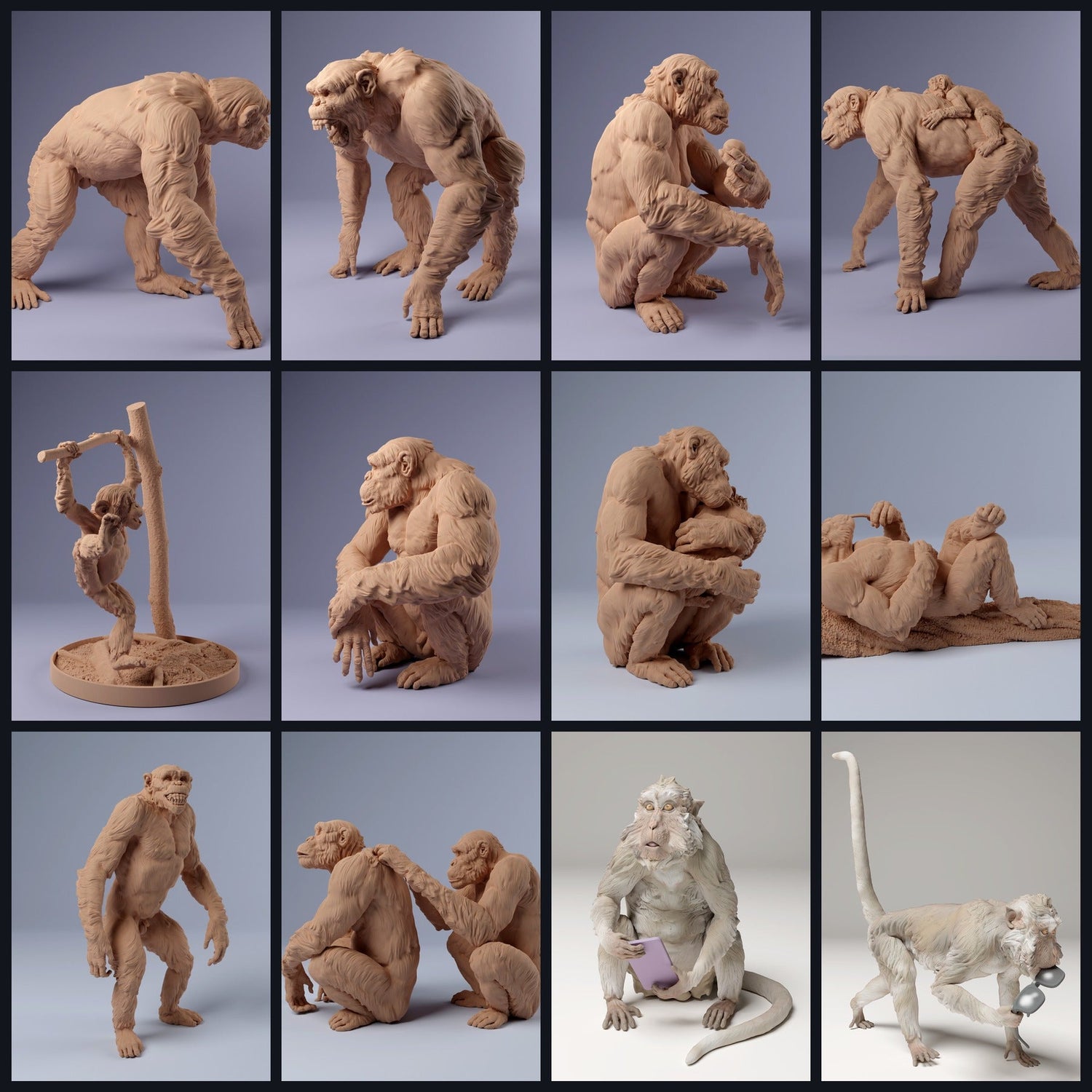 Dieses Bild ist das Kategoriebild für Tierart: Primaten & Halbaffen