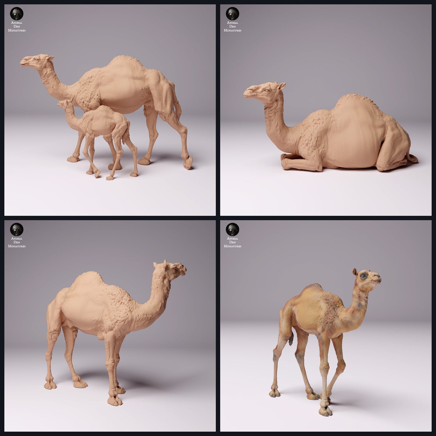 Tento obrázek je obrázek kategorie pro region: Blízký východ