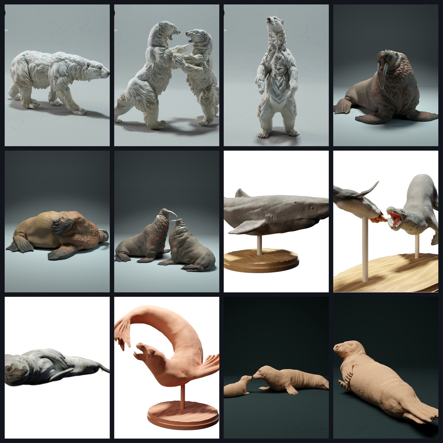 To zdjęcie jest obrazem kategorii dla siedliska: Morze Polarne