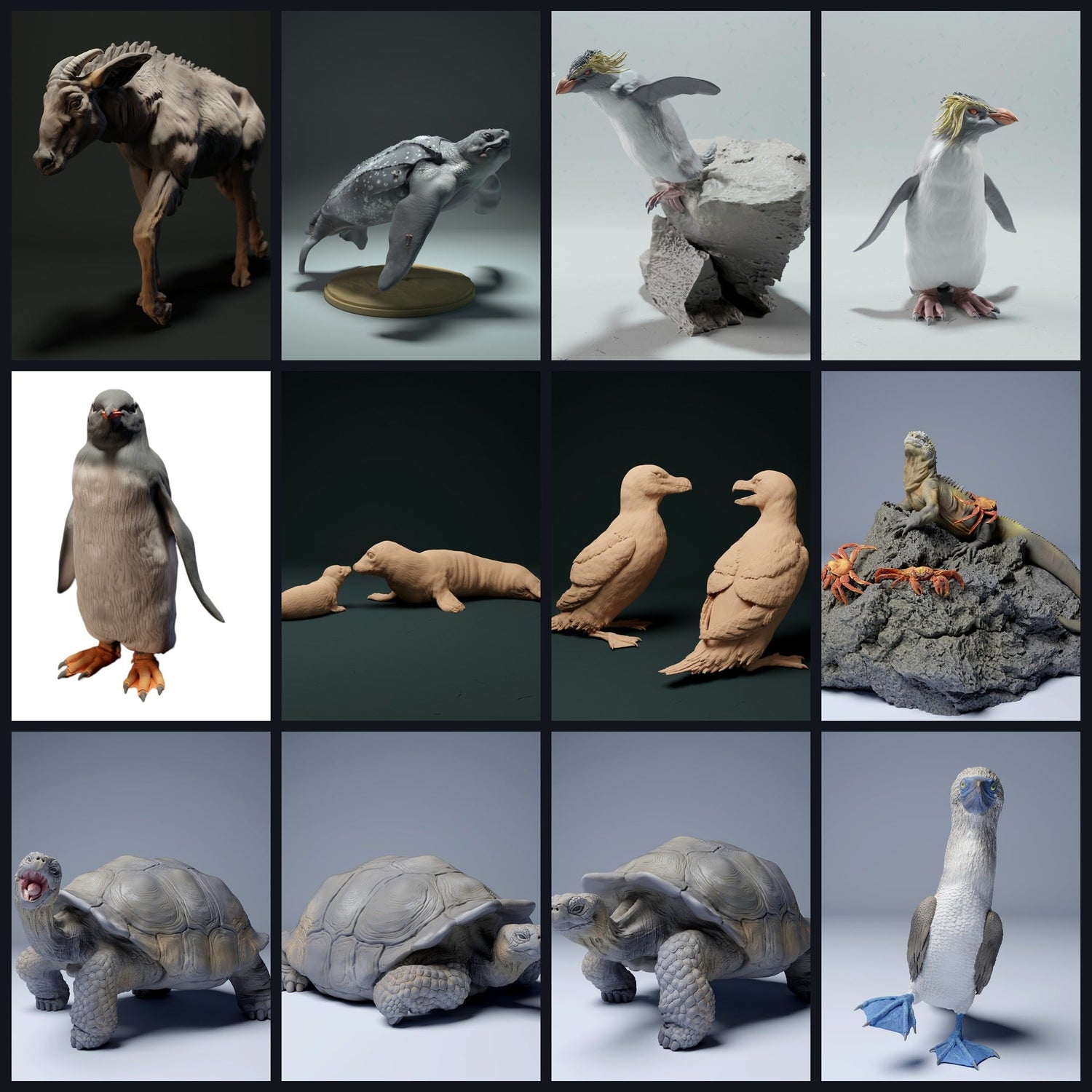 Questa immagine è l'immagine di categoria per habitat: isola/arcipelago