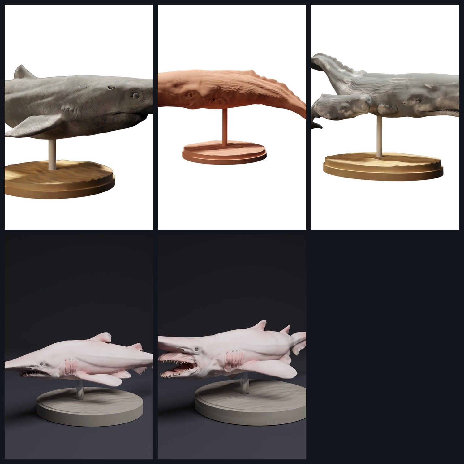 Dieses Bild ist das Kategoriebild für Lebensraum: Tiefsee