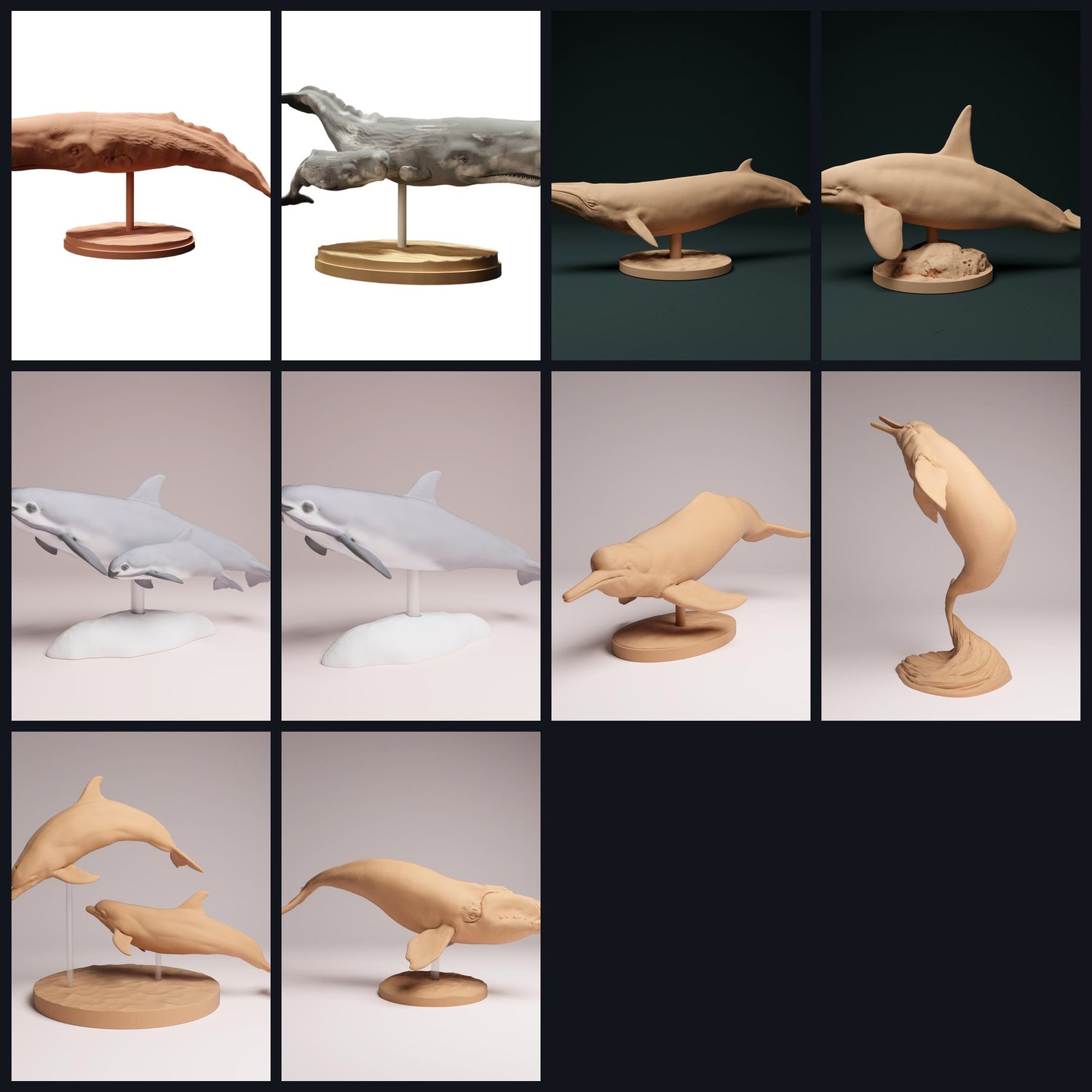 Tento obrázek je obrázek kategorie pro druh zvířete: Velryby a delfíni