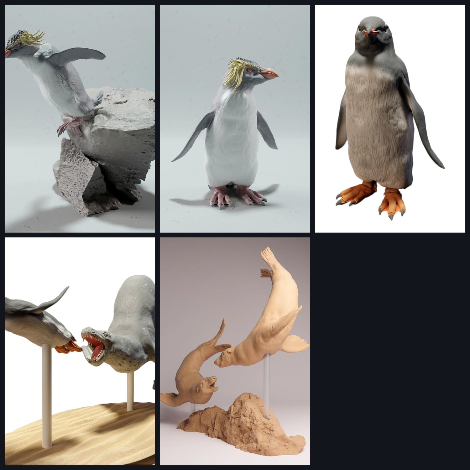 Questa immagine è l'immagine della categoria per la regione: Antartide/Subantartico