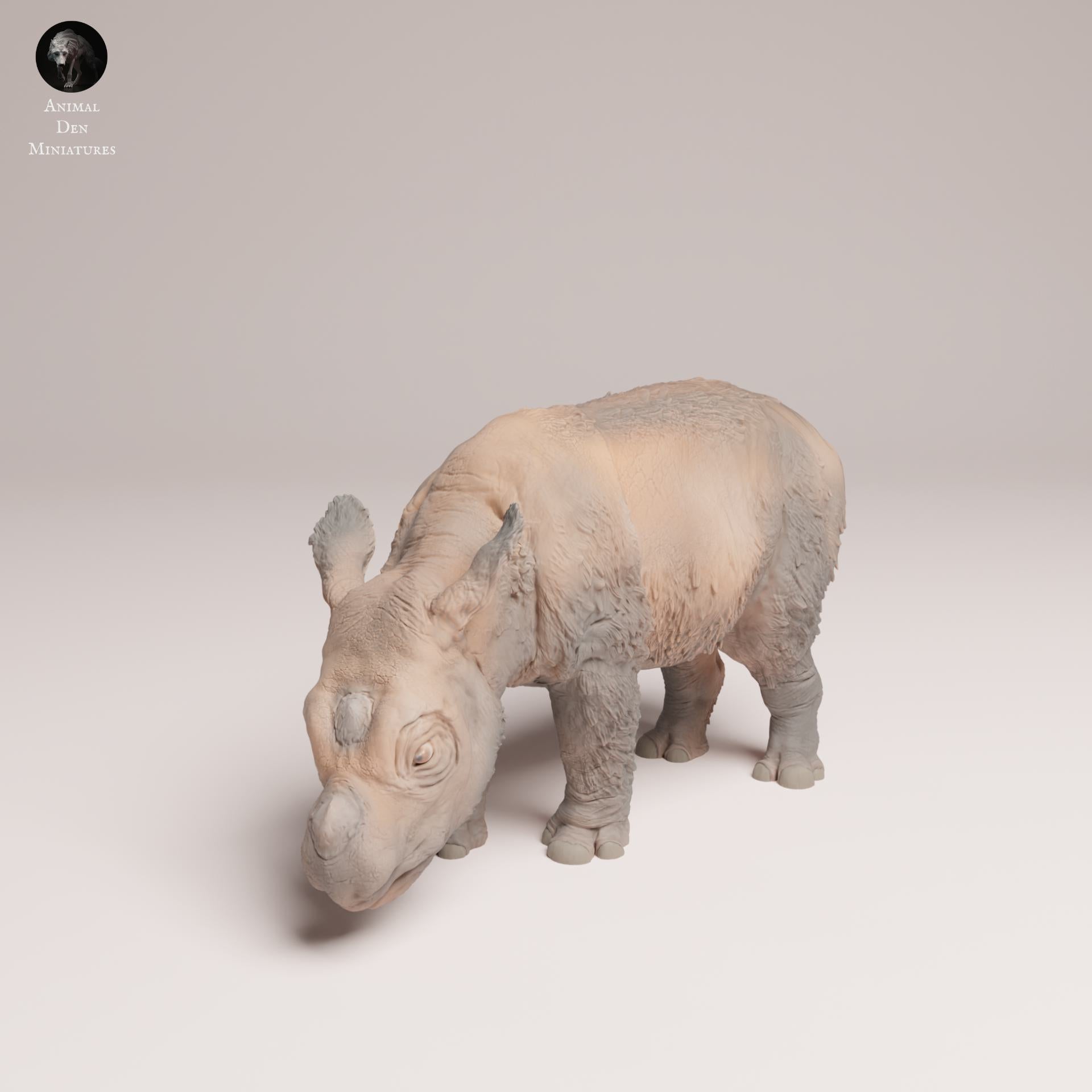 Produktfoto Tier Figur Diorama, Modellbau: 0: Wildtier Figur: Sumatra-Nashornkalb (Ref 25_03_01)