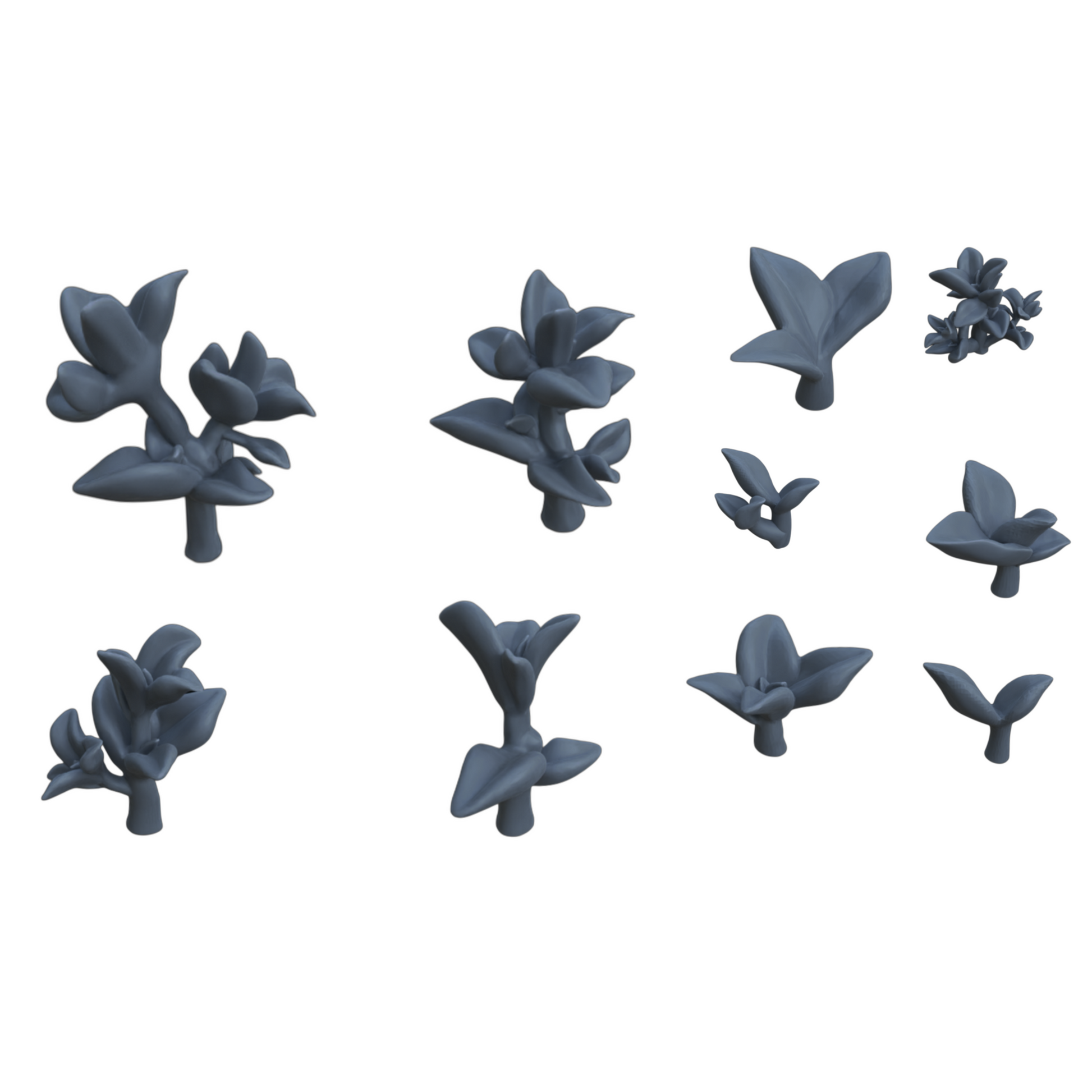 Produktfoto Diorama und Modellbau Deko, Zubehör:  0: Pflanzen und Gewächse: 10 Zwergpfeffer - Peperomia