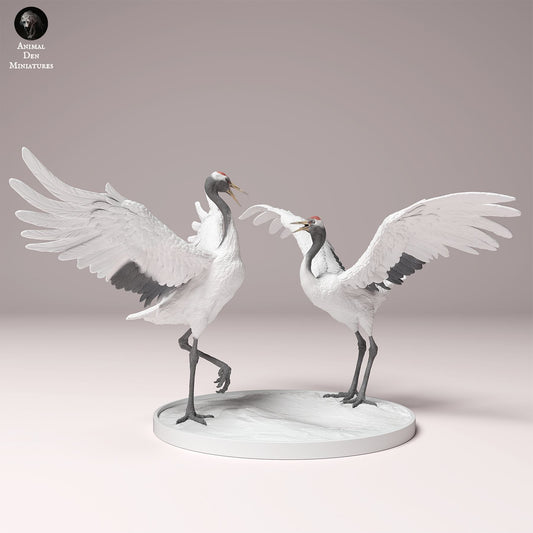 Product photo Animal Figure Diorama, Model Building: 0: Wildlife Figure: Dancing Manchurian Cranes – Red-crowned Crane (Ref 24_10_01)