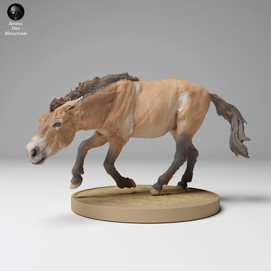 Foto do produto Figura de Animal Diorama, Modelismo: 0: Figura de Animal Selvagem: cavalo de Przewalski em movimento (Ref 24_12_01)