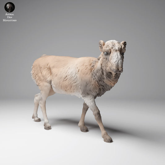 Foto do produto de figura de animal em diorama, modelismo: 0: Figura de animal selvagem: Antílope Saiga Mongol – Fêmea em pelagem de inverno (Ref 24_12_14)