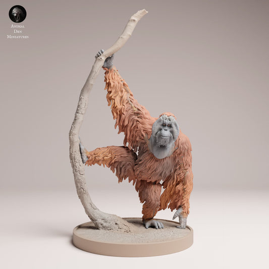 Foto del prodotto Figura animale Diorama, Modellismo: 0: Figura animale della giungla: Orangutan di Sumatra (Ref 25_03_09)