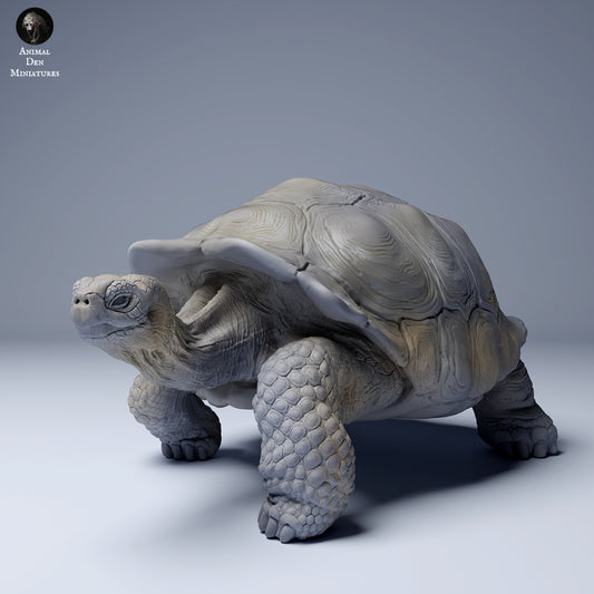 Foto do produto Figura de Animal Diorama, Modelismo: 0: Figura de Vida Selvagem: Tartaruga Gigante das Galápagos (Ref 24_08_05)