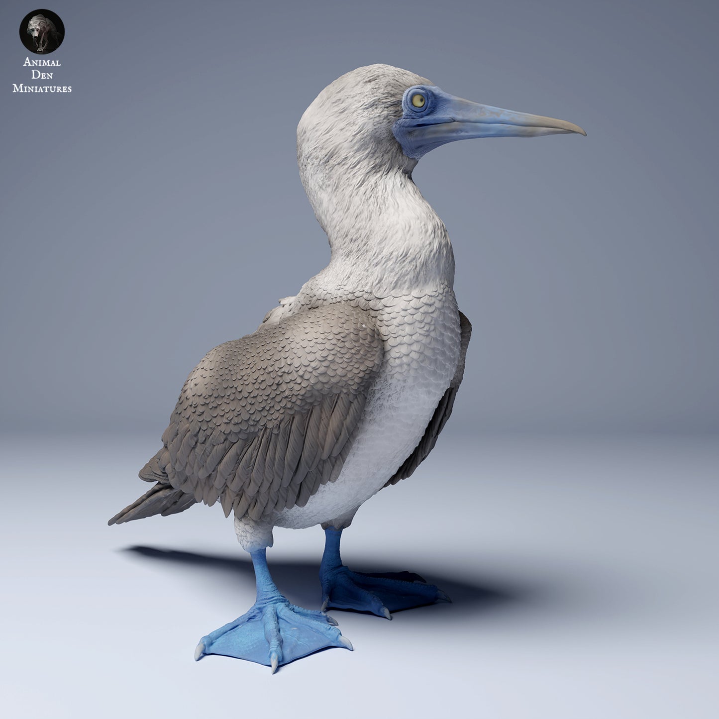 Produktová fotografie zvířecí figurky dioráma, modelářství: 0: Mořská zvířecí figurka: Modronohý pelikán (Ref 24_08_10)