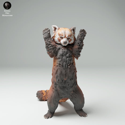 Foto do produto Figura de animal Diorama, Modelismo: 0: Figura de animal selvagem: Panda Vermelho – Ailurus fulgens (Ref 25_02_01)