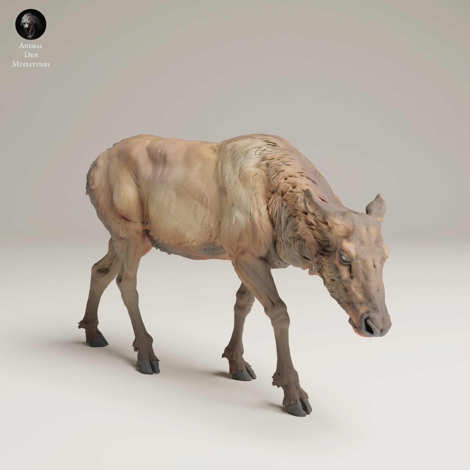 Product photo Animal Figure Diorama, Model Building: 0: Wildlife Figure: Grazing Rocky Mountain Elk Cow (Ref 25_06_01)