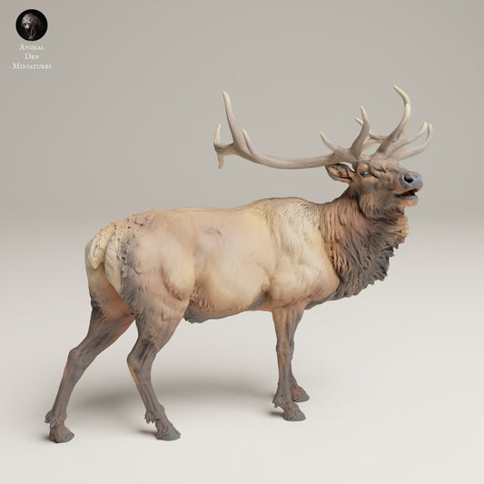 Zdjęcie produktu Figurki zwierzęcia Diorama, Modelarstwo: 0: Dzika figura: Buglender Wapiti – Górskie Rocky (Ref 25_06_04)