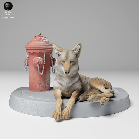 Foto do produto Figura de Animal Diorama, Modelismo: 0: Figura de Animal Selvagem: Coiote deitado (Ref 24_11_01)