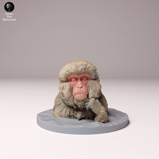 Foto do produto Figura de Animal Diorama, Modelismo: 0: Figura de Animal Selvagem: macaco japonês a banhar-se (Ref 24_10_10)