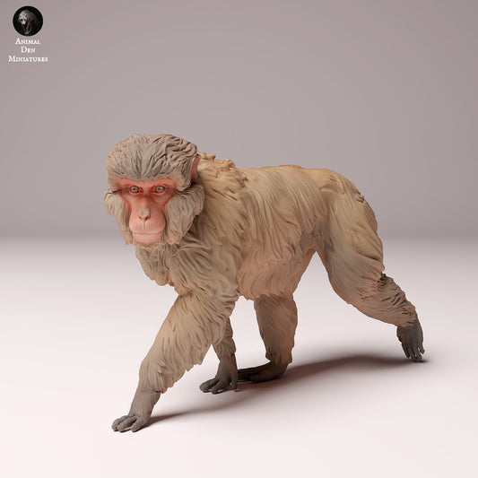 Foto do produto Figura de Animal Diorama, Modelismo: 0: Figura de Animal Selvagem: Macaco Japonês – Macaco da Neve (Ref 24_10_09)