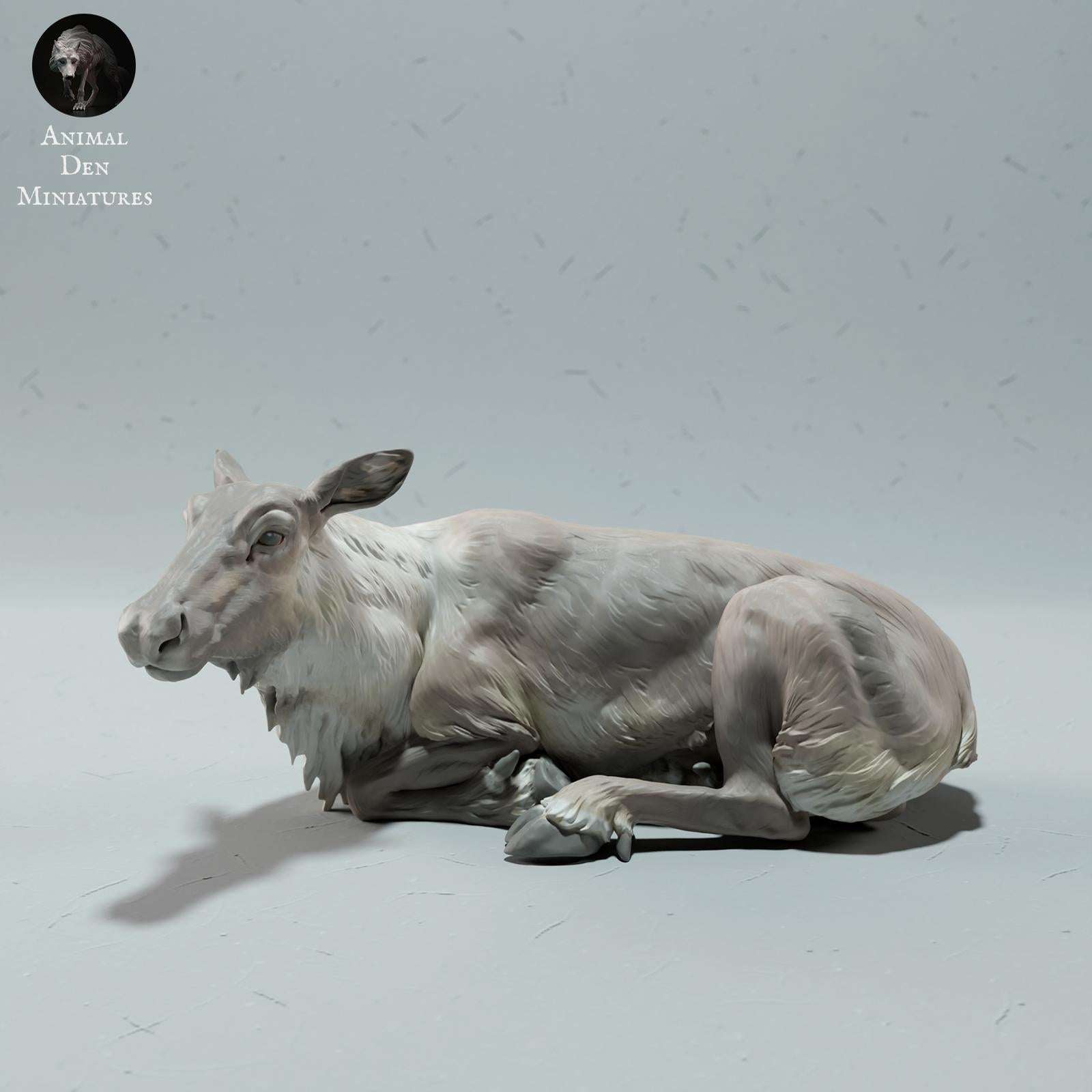 Produktfoto Tier Figur Diorama, Modellbau: 0: Wildtier Figur: Rentier / Karibu Weibchen (Ref 01_01_67)