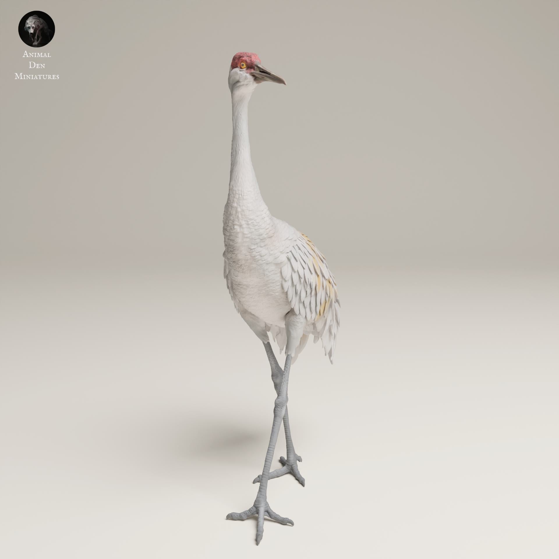 Zdjęcie produktu Figurki Zwierzęcia Diorama, Modelarstwo: 0: Figurki Dzikich Zwierząt: Duży Żuraw Kanadyjski – Greater Sandhill Crane (Ref 25_06_11)