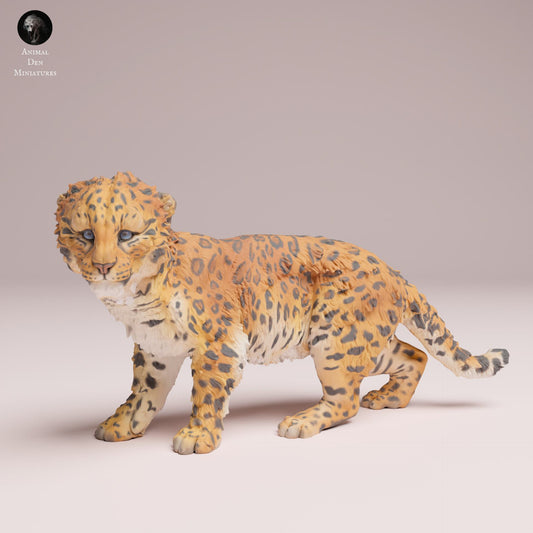 Produktfoto Tier Figur Diorama, Modellbau: 0: Wildtier Figur: Amur Leopard Junges – Tierminiatur für Dioramen (Ref 25_07_17)
