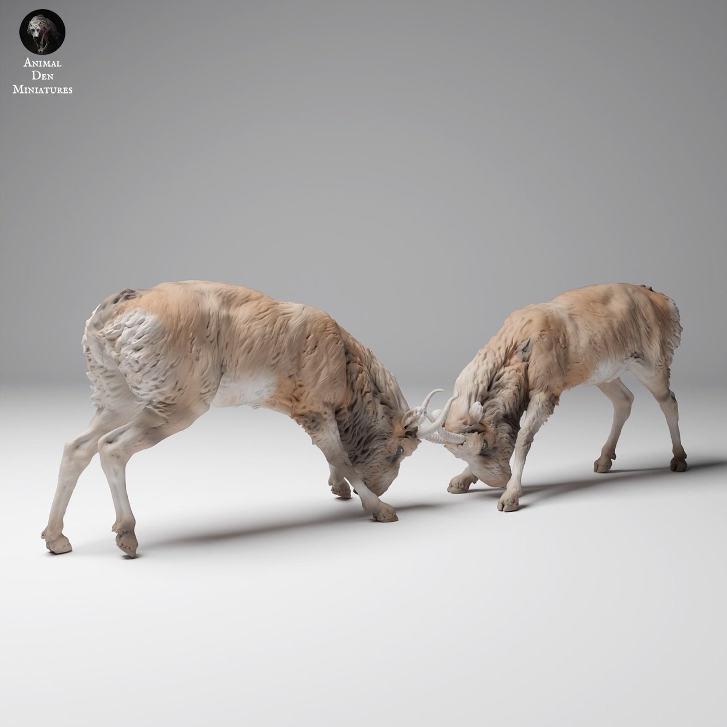 Produktová fotografie zvířecí figurky dioráma, modelářství: 0: Divoká zvířecí figurka: bojující mongolský samčí saiga (Ref 24_12_08)
