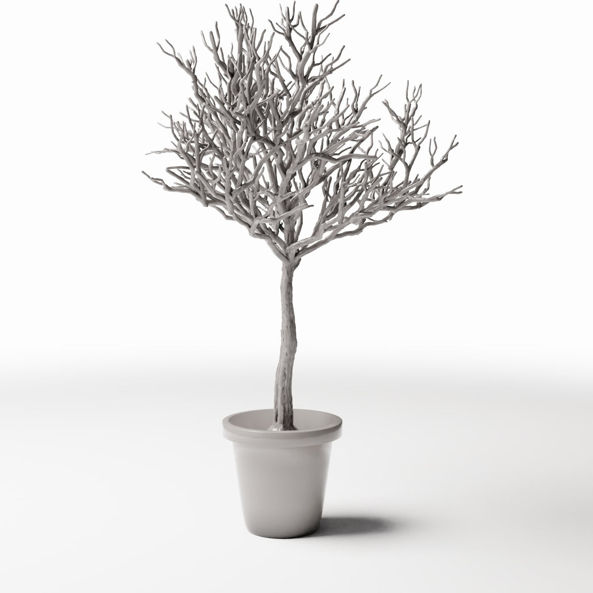 Foto prodotto per diorami e modellismo 3: Piante per diorama: albero ornamentale spoglio in vaso (Ref. 1100D)