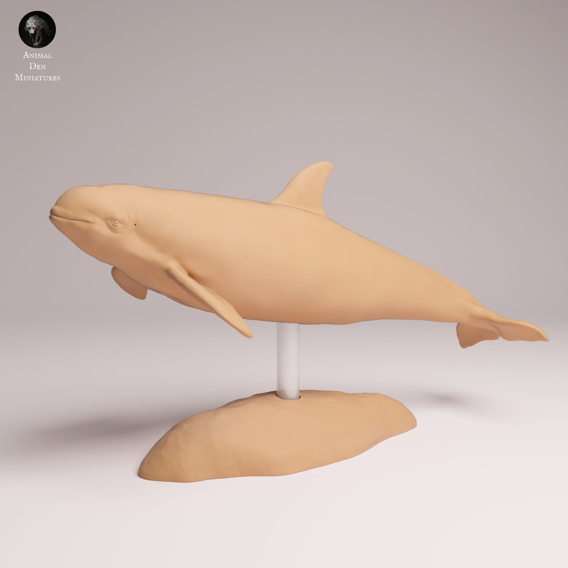 Produktfoto Tier Figur Diorama, Modellbau: 0: Meerestier Figur: Vaquita – Schweinswal (Ref 25_07_05)