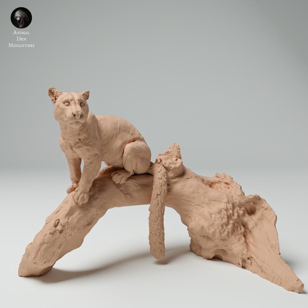 Produktfoto Tier Figur Diorama, Modellbau: 0: Dschungel Tier Figur: Nebelparder auf Baum (Ref 25_02_06)