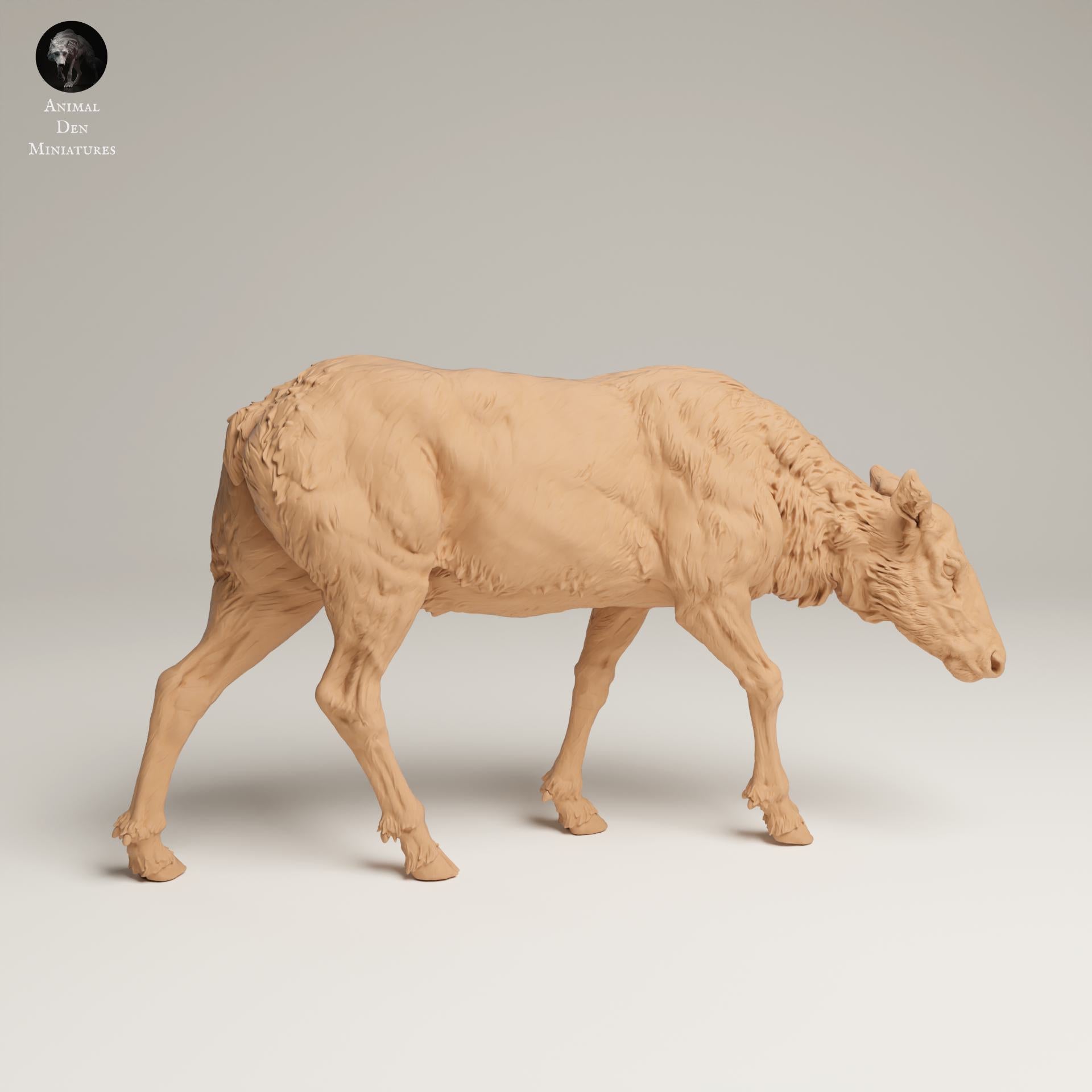 Product photo Animal Figure Diorama, Model Building: 0: Wildlife Figure: Grazing Rocky Mountain Elk Cow (Ref 25_06_01)