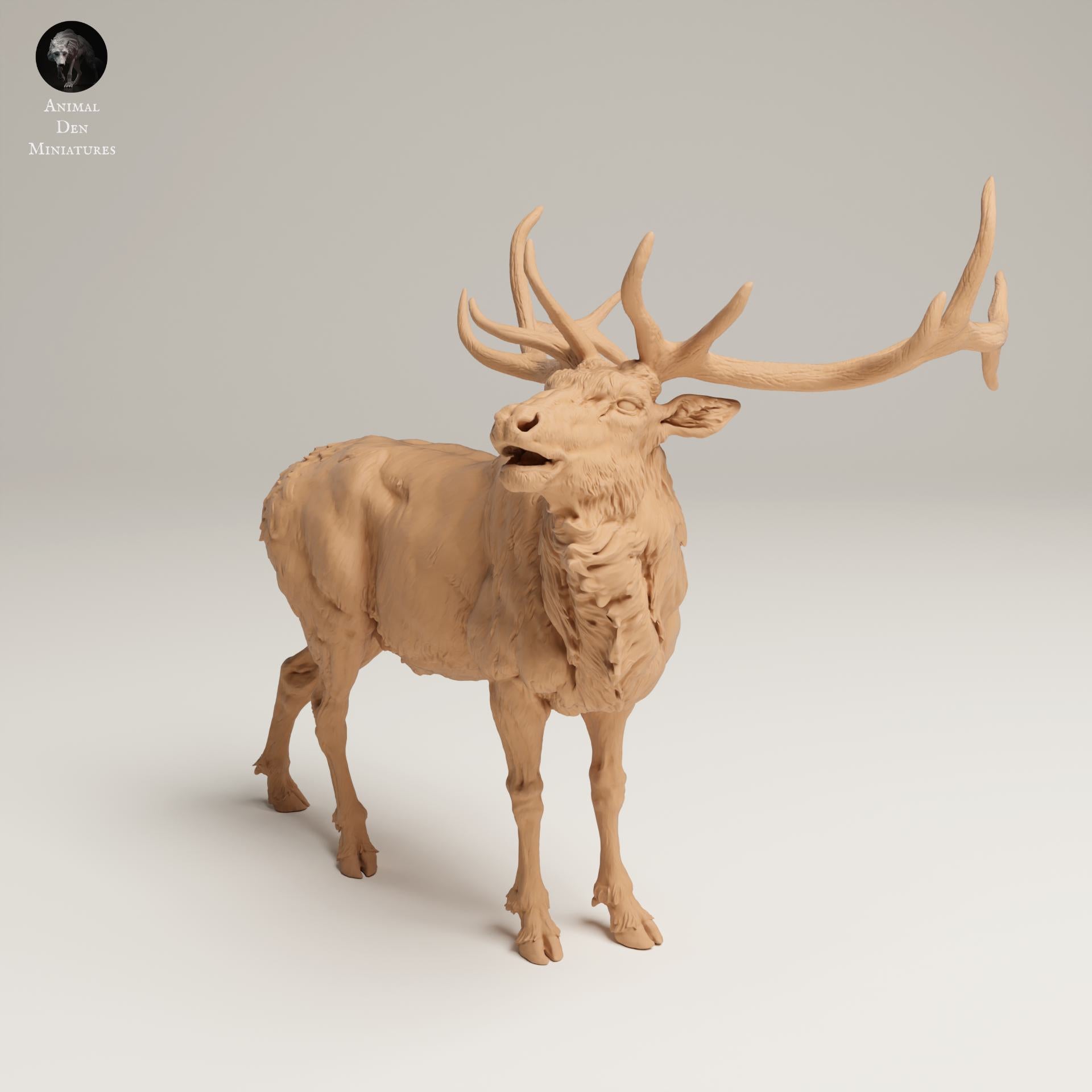 Product photo Animal Figure Diorama, Model Building: 0: Wildlife Figure: Bugler Elk – Rocky Mountain (Ref 25_06_04)