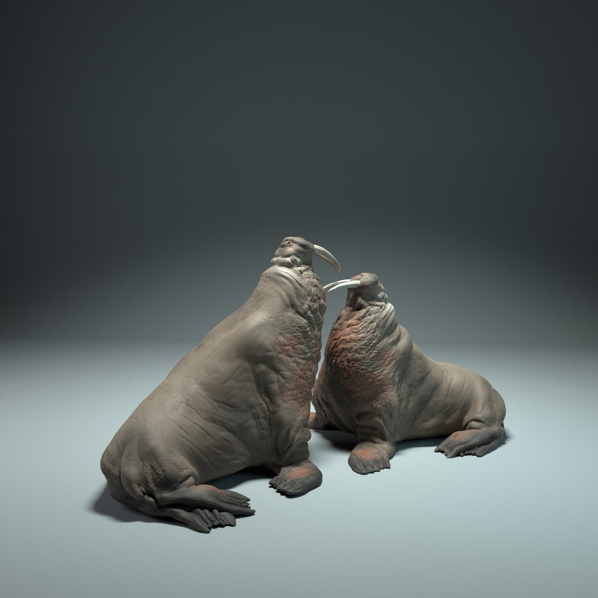 Produktfoto Tier Figur Diorama, Modellbau: 0: Meerestier Figur: kämpfende Walrosse (Ref 01_01_50)