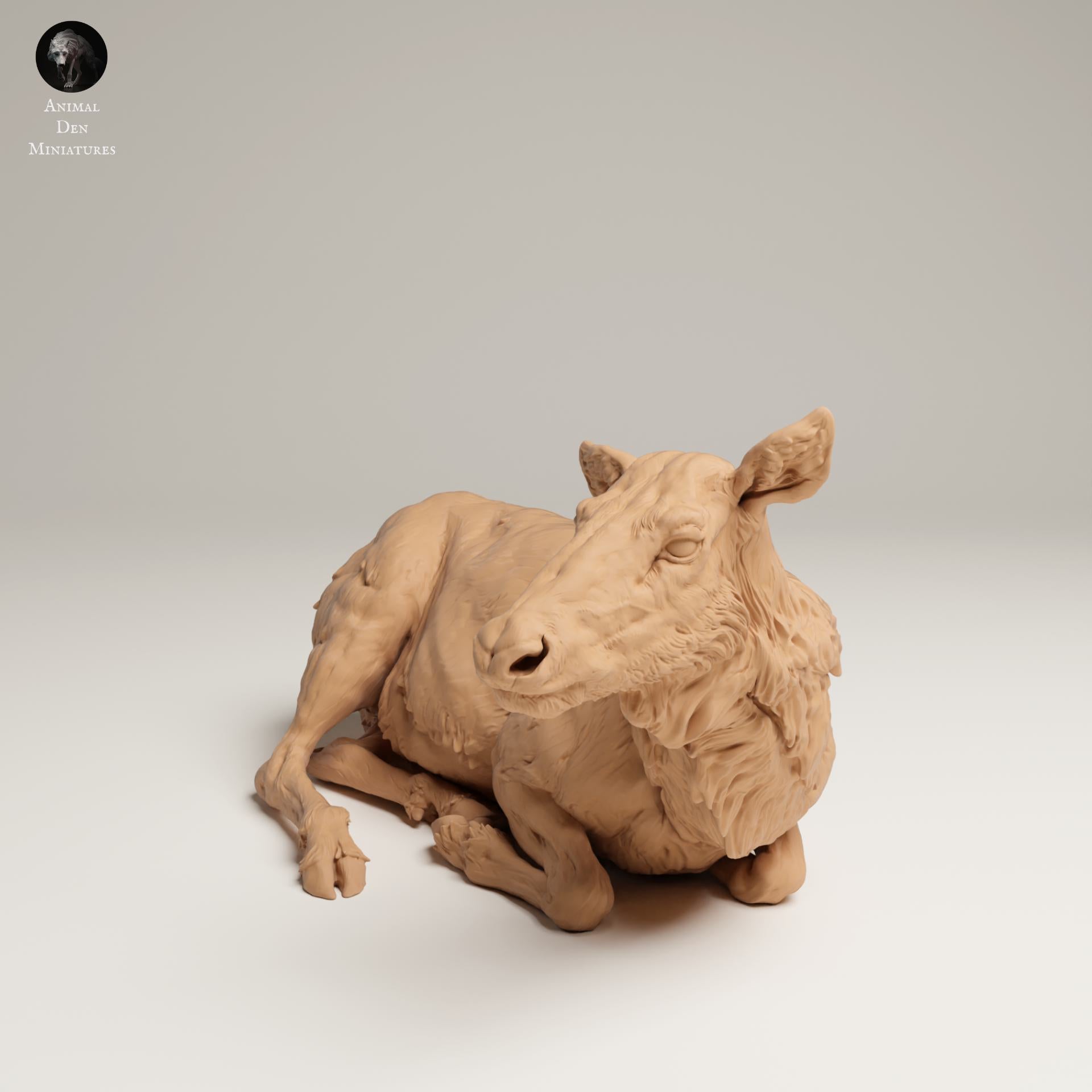 Produktfoto Tier Figur Diorama, Modellbau: 0: Wildtier Figur: Liegende Elchkuh – Rocky Mountain (Ref 25_06_14)