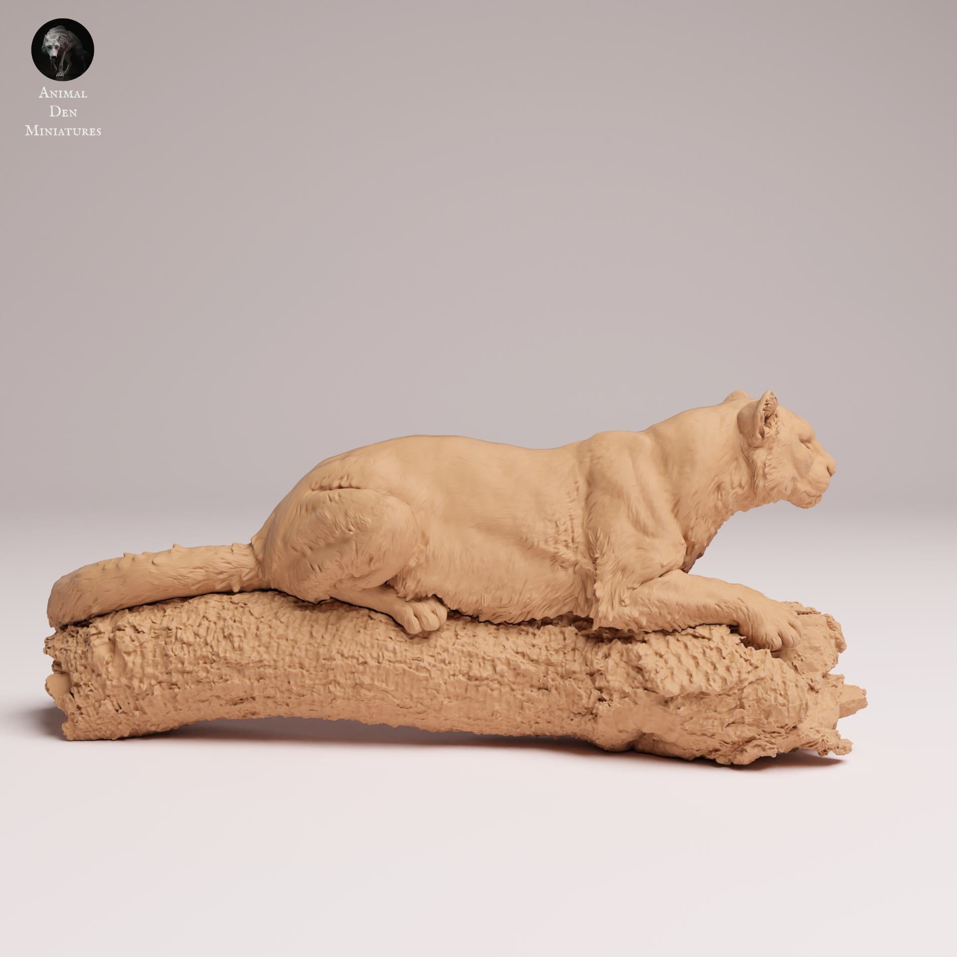 Produktfoto Tier Figur Diorama, Modellbau: 0: Wildtier Figur: Amur Leopard auf Baum – Tierminiatur für Dioramen (Ref 25_07_13)