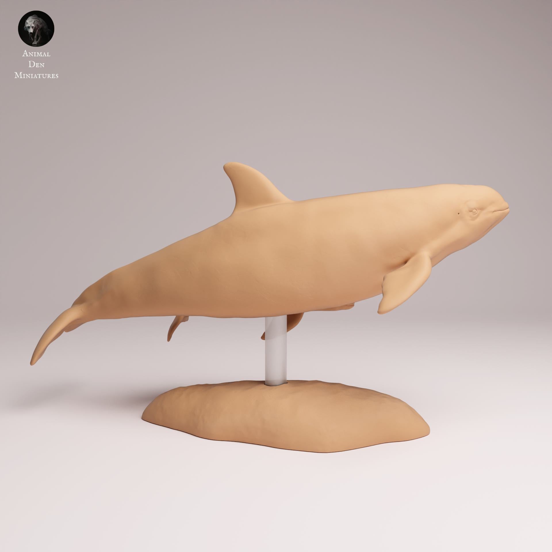 Produktfoto Tier Figur Diorama, Modellbau: 0: Meerestiere Figur: Vaquita mit Kalb – Schweinswal (Ref 25_07_03)