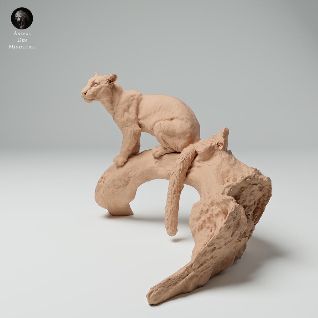 Produktfoto Tier Figur Diorama, Modellbau: 0: Dschungel Tier Figur: Nebelparder auf Baum (Ref 25_02_06)