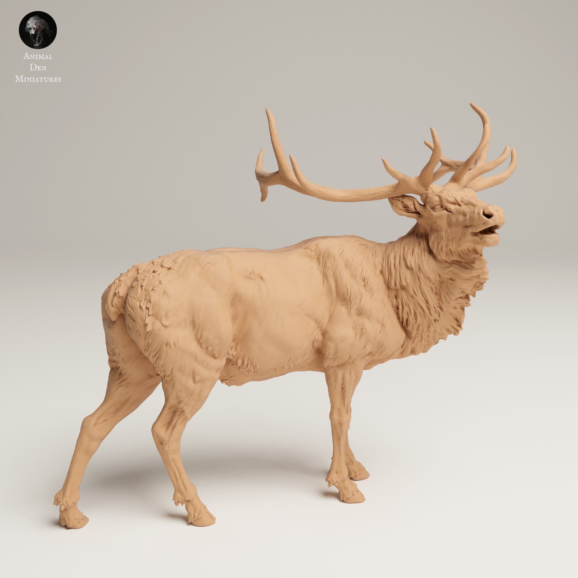 Product photo Animal Figure Diorama, Model Building: 0: Wildlife Figure: Bugler Elk – Rocky Mountain (Ref 25_06_04)