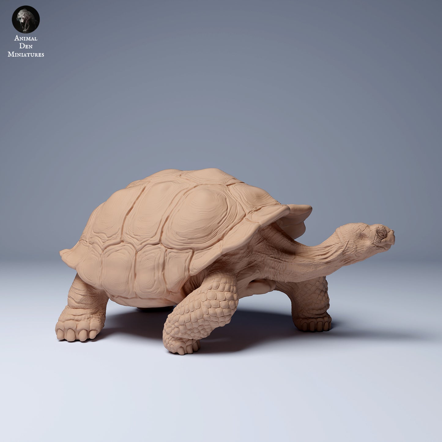 Foto do produto Figura de Animal Diorama, Modelismo: 0: Figura de Vida Selvagem: Tartaruga Gigante das Galápagos (Ref 24_08_05)
