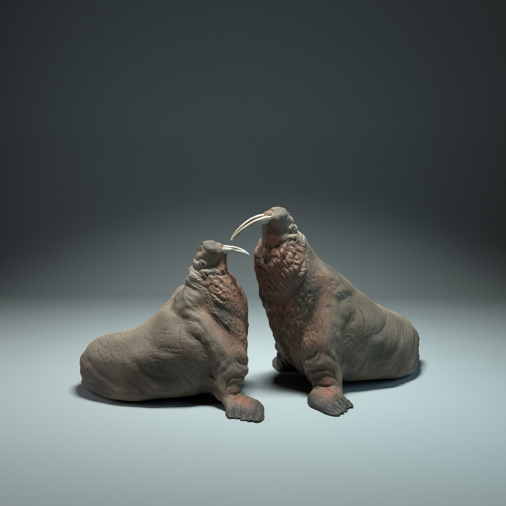 Produktfoto Tier Figur Diorama, Modellbau: 0: Meerestier Figur: kämpfende Walrosse (Ref 01_01_50)