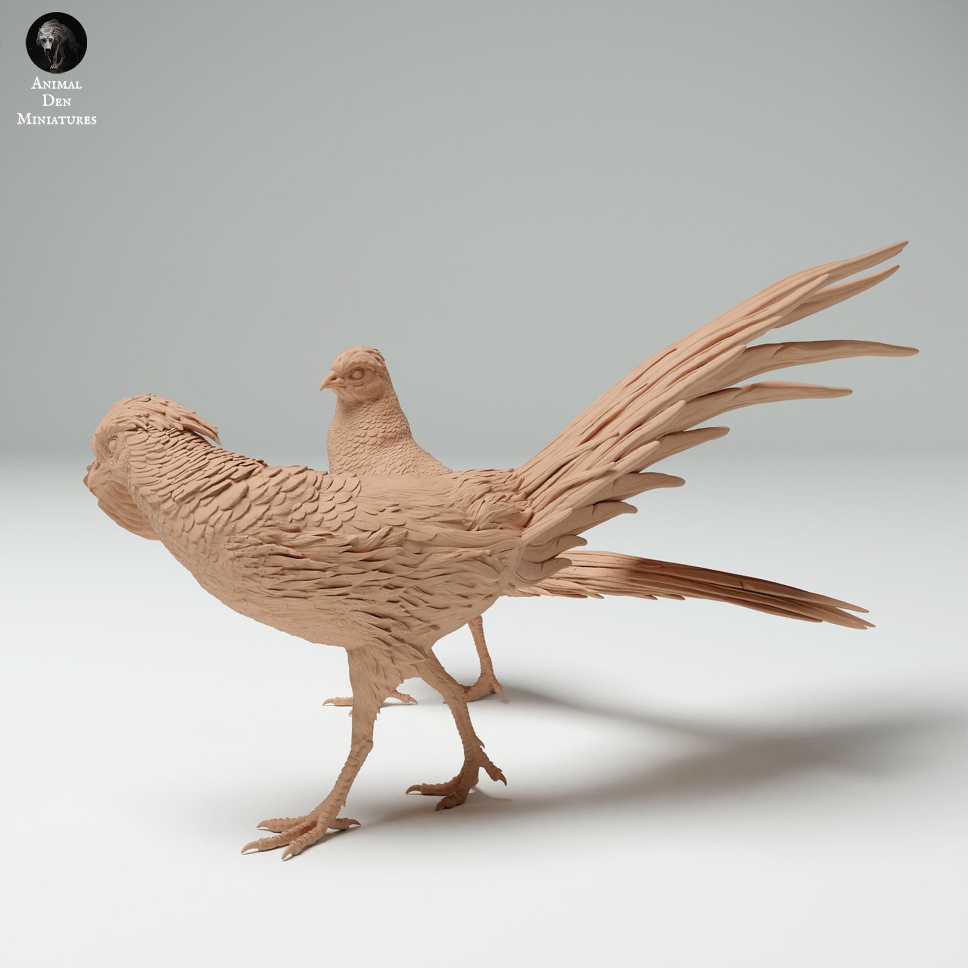 Produktfoto Tier Figur Diorama, Modellbau: 0: Wildtier Figuren: Goldfasan Männchen und Weibchen (Ref 25_02_04)