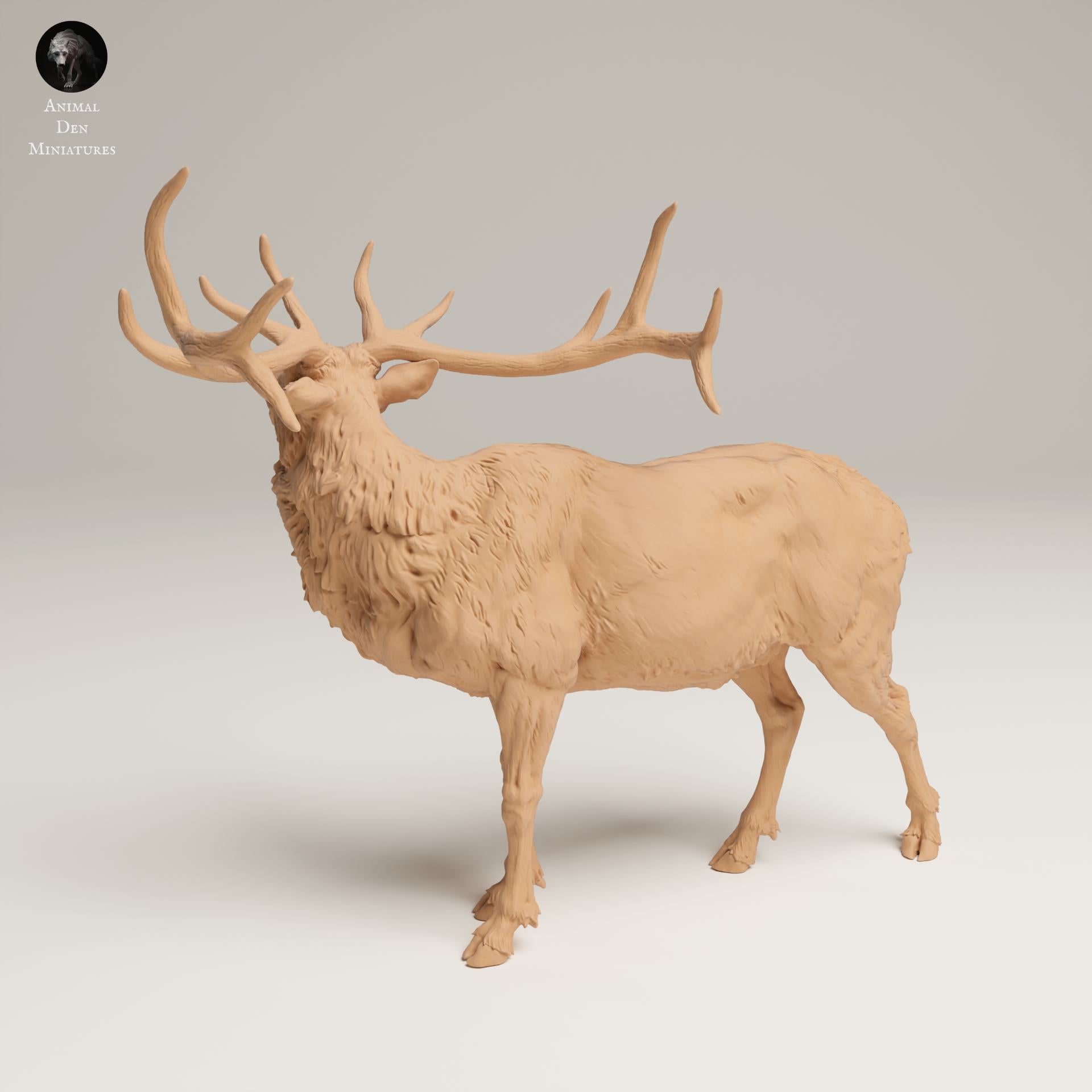 Product photo Animal Figure Diorama, Model Building: 0: Wildlife Figure: Bugler Elk – Rocky Mountain (Ref 25_06_04)