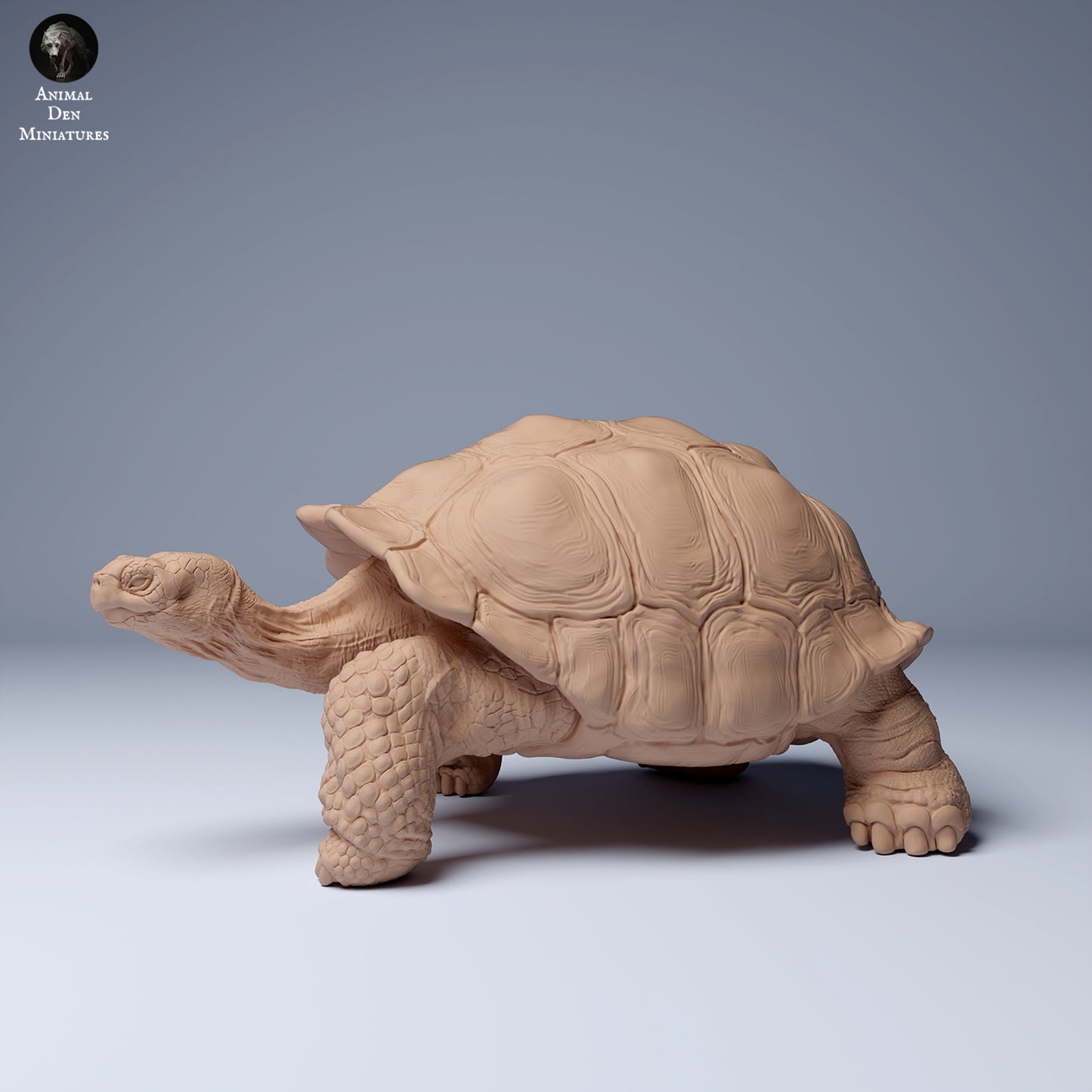 Foto do produto Figura de Animal Diorama, Modelismo: 0: Figura de Vida Selvagem: Tartaruga Gigante das Galápagos (Ref 24_08_05)
