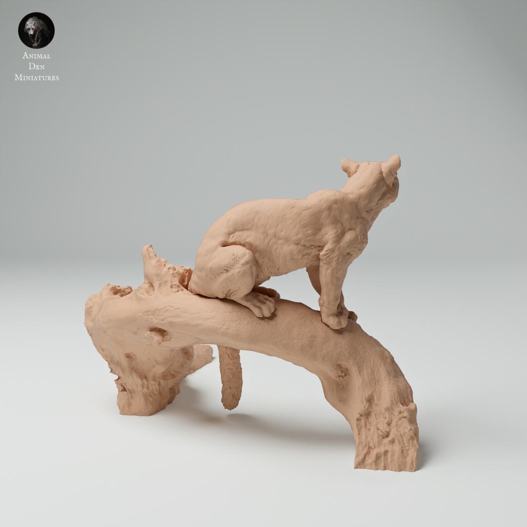 Produktfoto Tier Figur Diorama, Modellbau: 0: Dschungel Tier Figur: Nebelparder auf Baum (Ref 25_02_06)