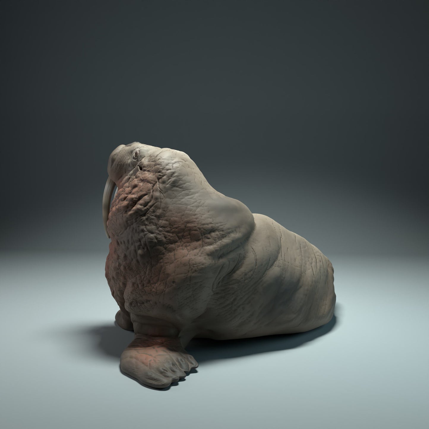 Produktová fotografie zvířecí figurky dioráma, modelářství: 0: Mořské zvíře figurka: mrož – realistická miniatura pro dioráma a modelářství (Ref 01_01_31)