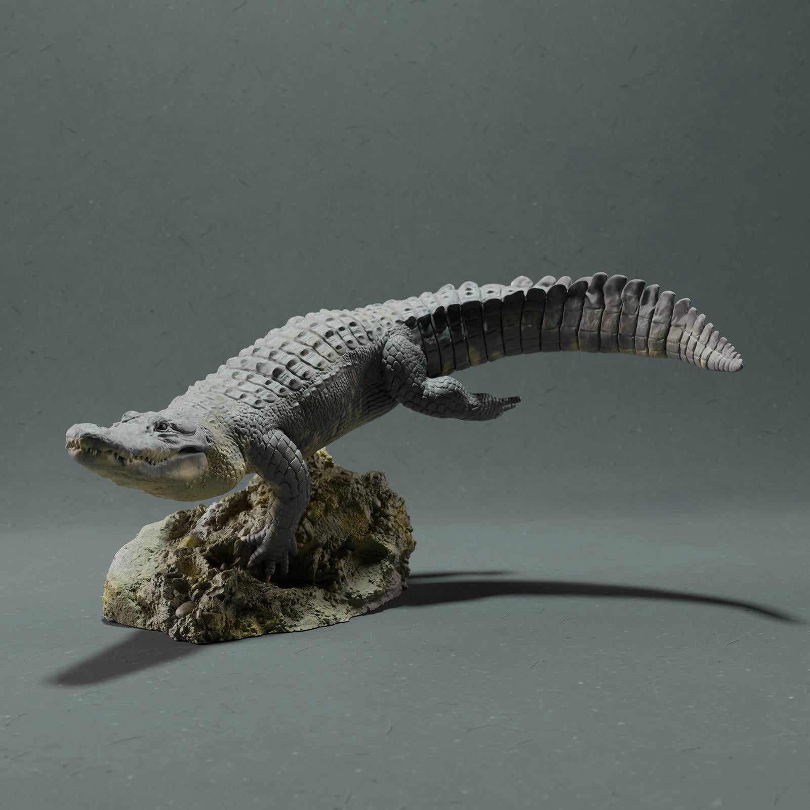 Product photo Animal Figure Diorama, Model Building: 0: Wildlife Figure: Swimming American Alligator (Ref 01_01_44)