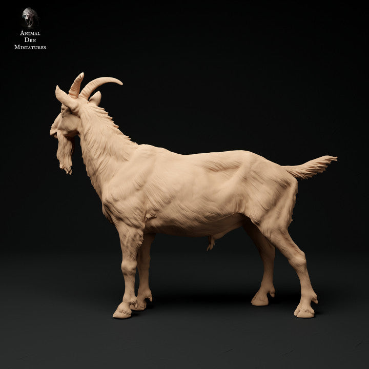 Product photo animal figure diorama, model building: 0: Alpine goat