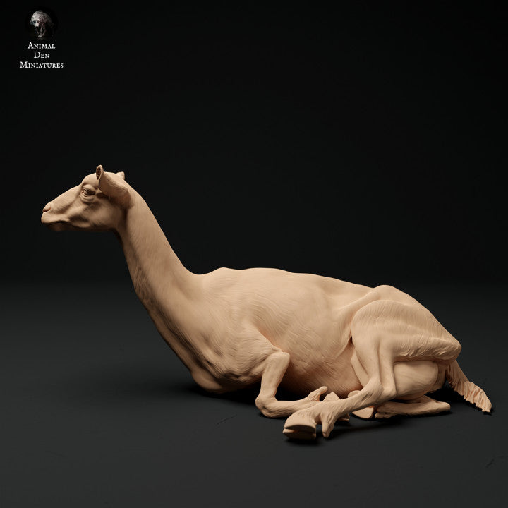 Foto do produto Figura de animal Diorama, Modelismo: 0: Cabra dos Alpes: deitada